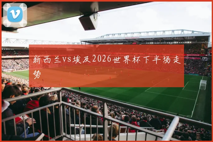 新西兰vs埃及2026世界杯下半场走势