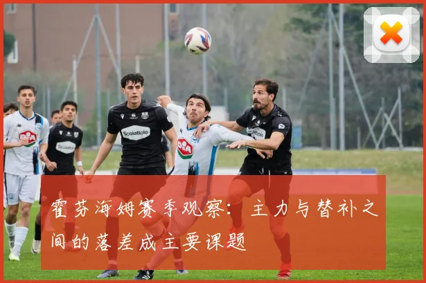 霍芬海姆赛季观察：主力与替补之间的落差成主要课题
