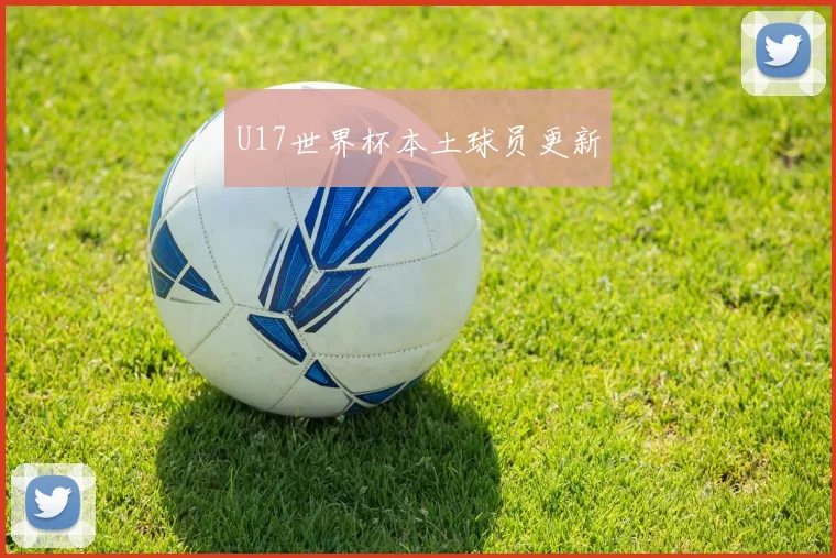 U17世界杯本土球员更新
